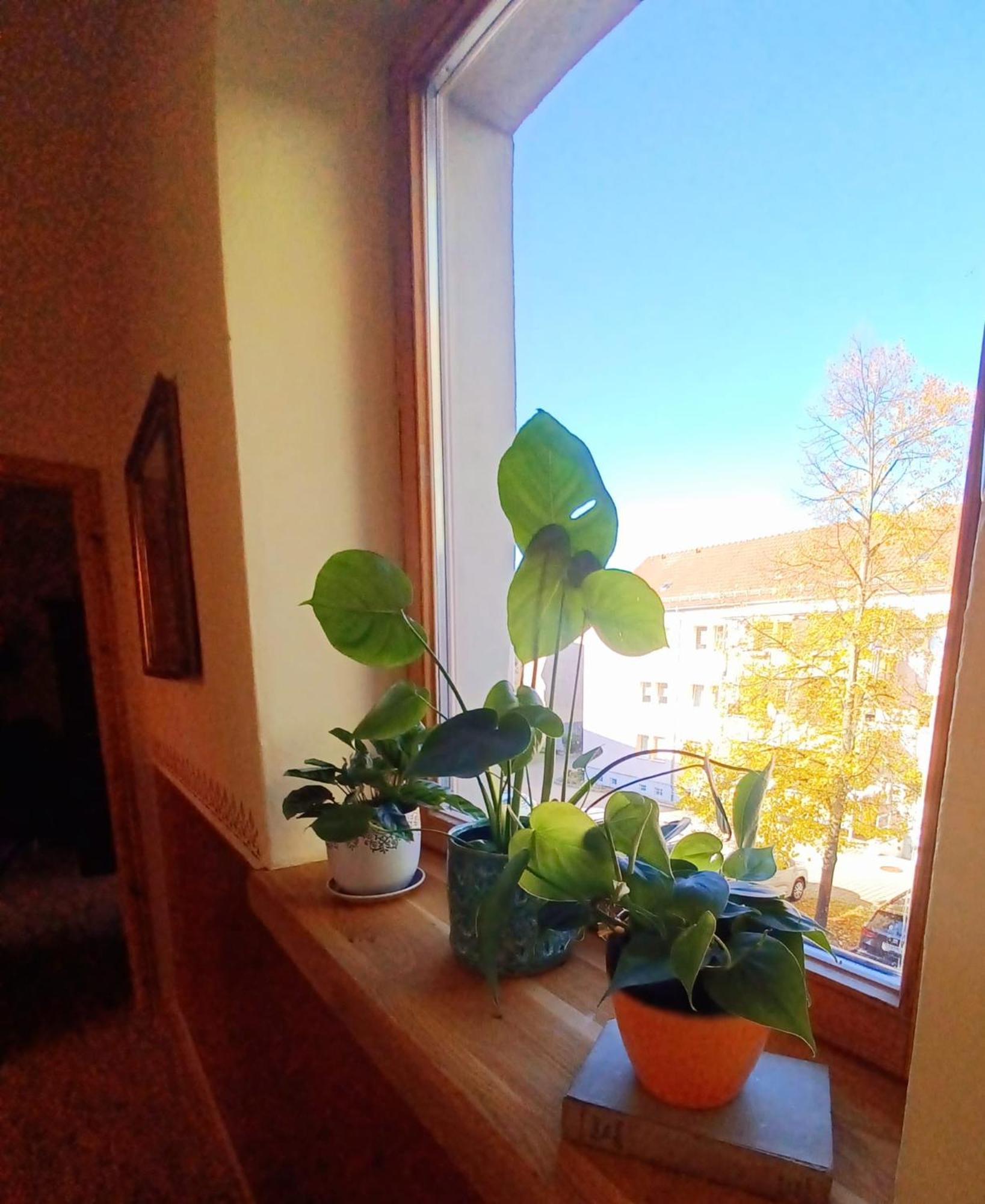 Ferienwohnung Antik Гота Экстерьер фото