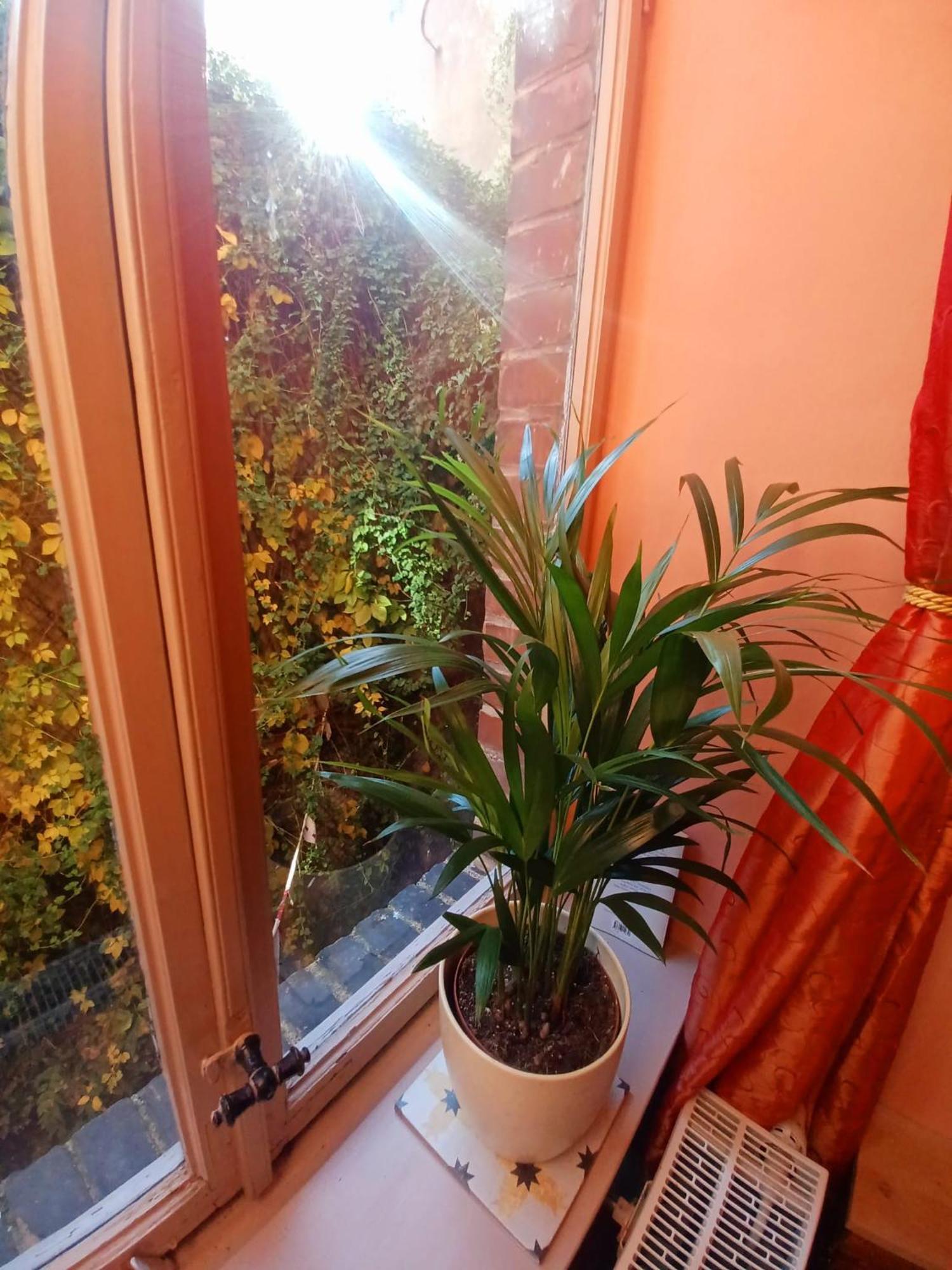 Ferienwohnung Antik Гота Экстерьер фото